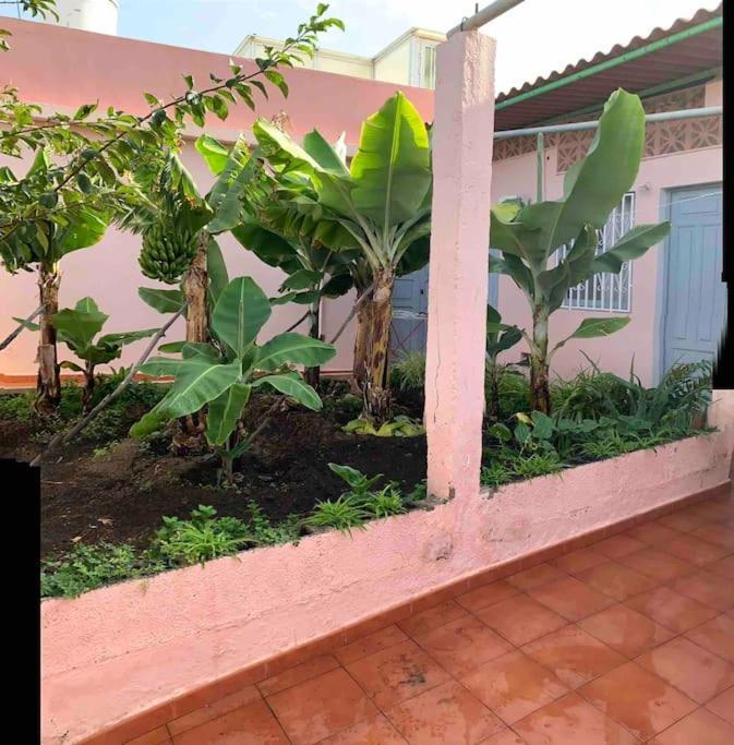 Villa Paz Y Relax En Santa Barbara 110 Icod De Los Vinos Exterior foto
